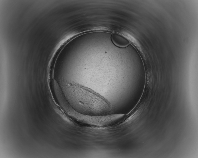 X0000087311043200704201207