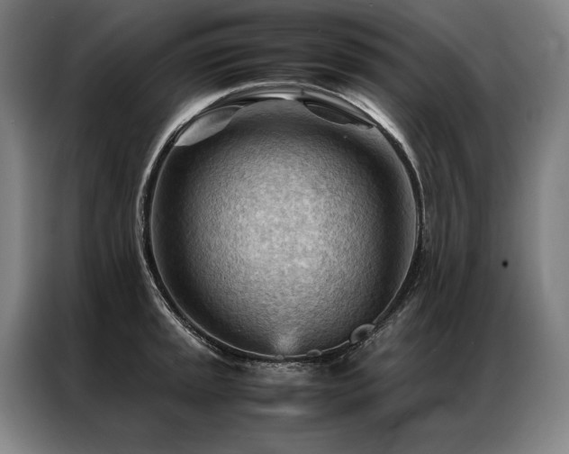 X0000087311045200704201207