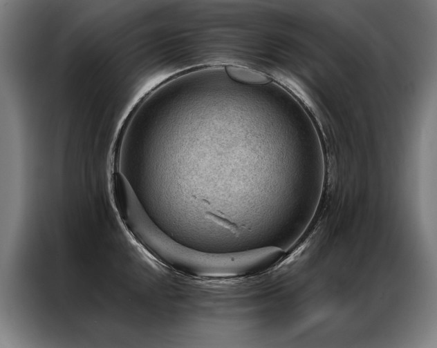 X0000087311048200704201207