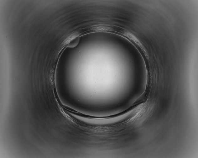 X0000087311049200704201207