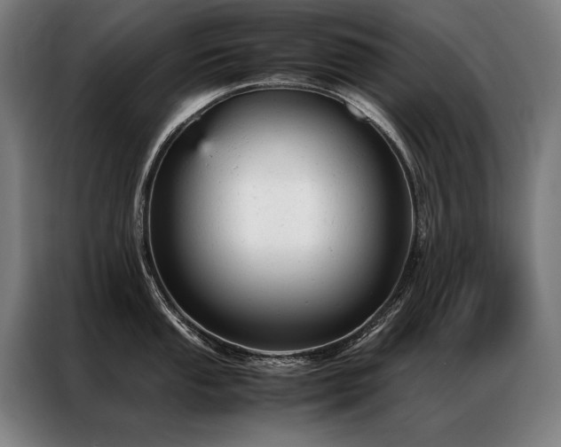 X0000087311053200704201207