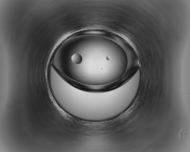 X0000087311054200704201207