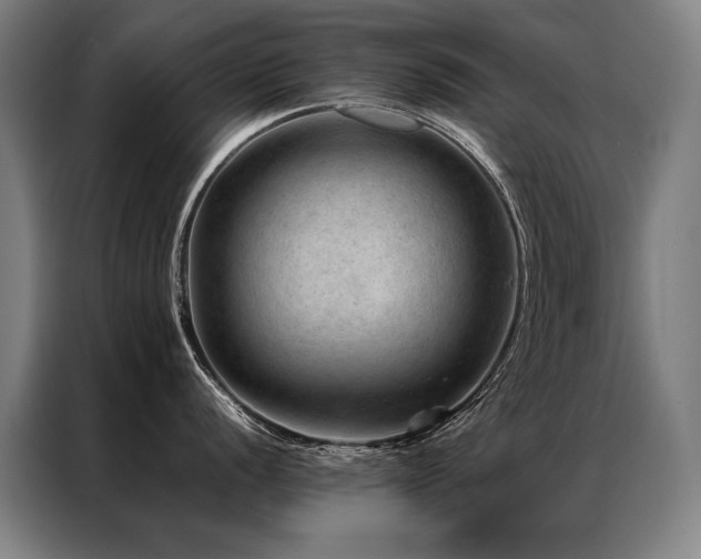 X0000087311056200704201207