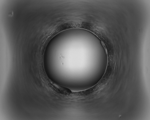 X0000087311057200704201206