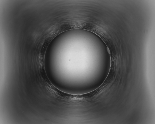 X0000087311058200704201206