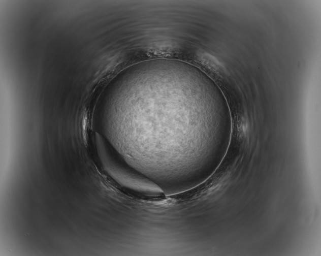 X0000087311060200704201206