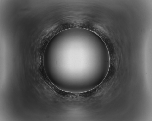 X0000087311061200704201206