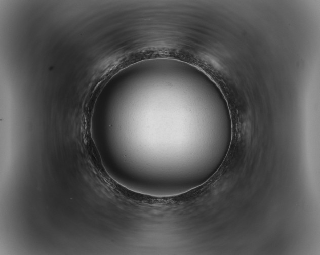 X0000087311062200704201206