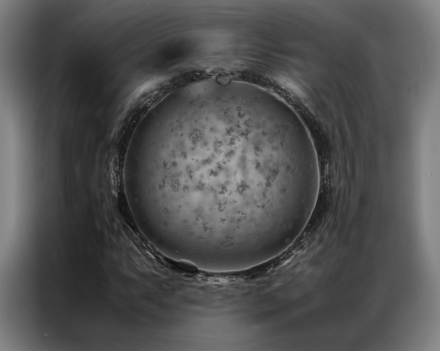 X0000087311063200704201206