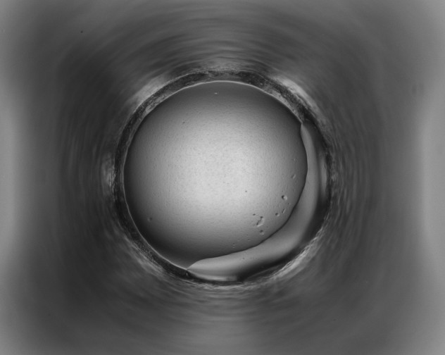 X0000087311065200704201206