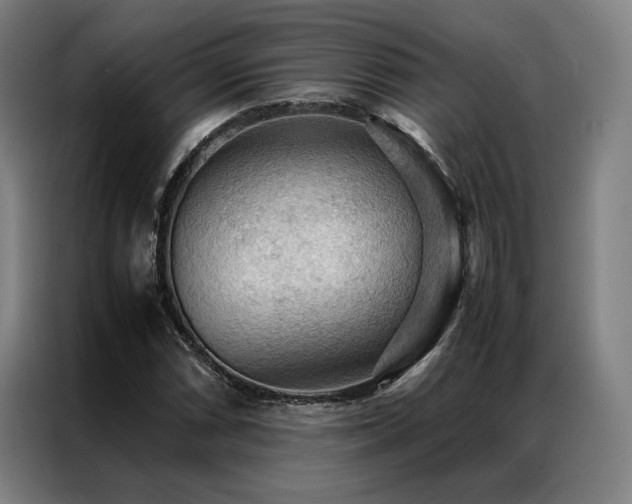 X0000087311066200704201206