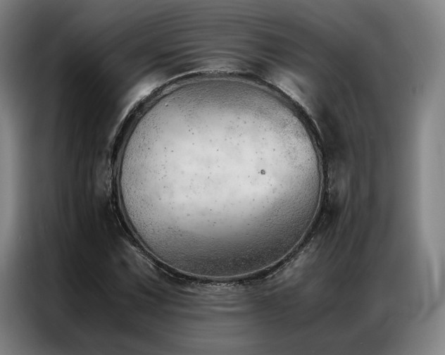 X0000087311067200704201206