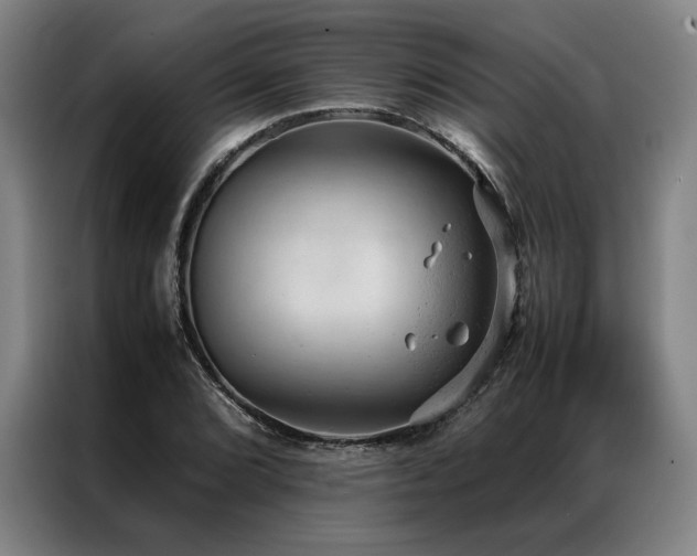 X0000087311072200704201206