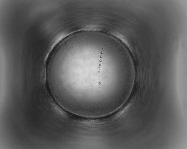 X0000087311075200704201206