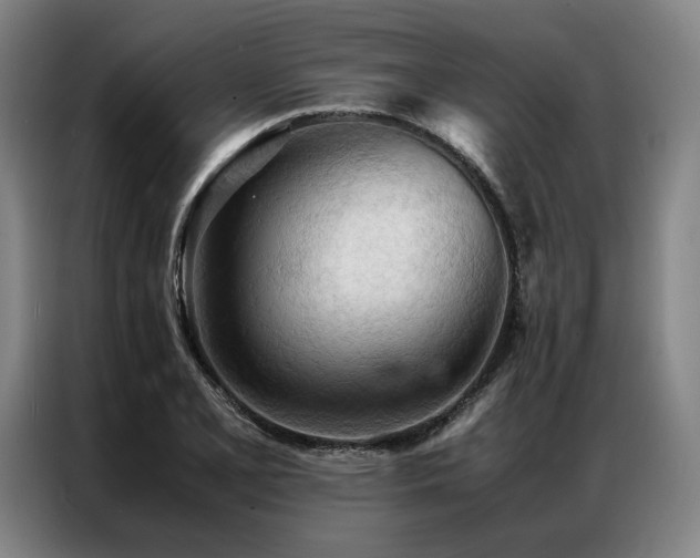 X0000087311077200704201206