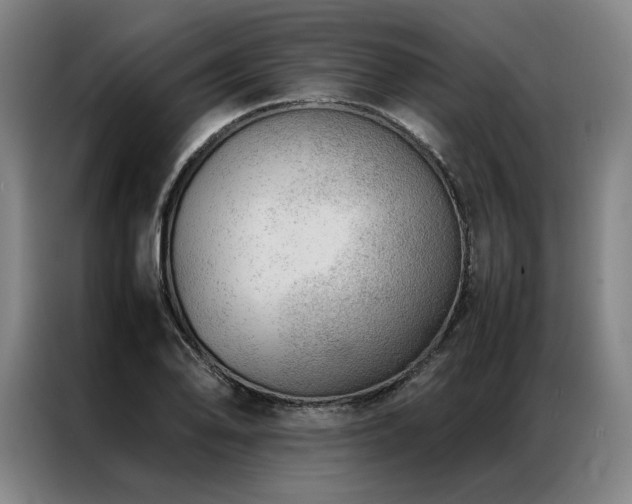 X0000087311078200704201206