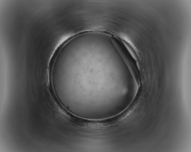 X0000087311079200704201206