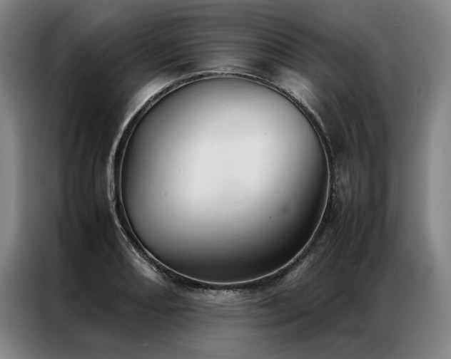 X0000087311082200704201206