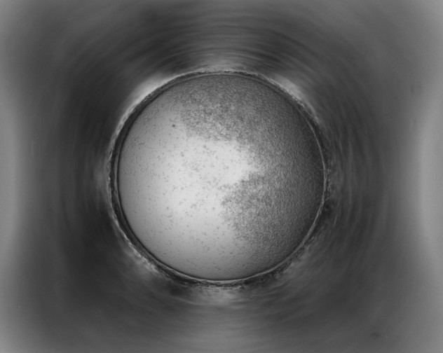 X0000087311086200704201206