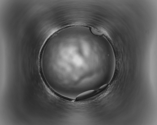 X0000087311087200704201206