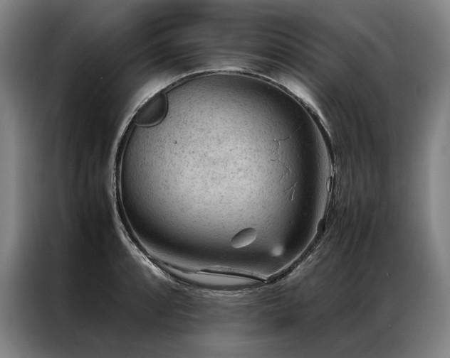 X0000087311088200704201206