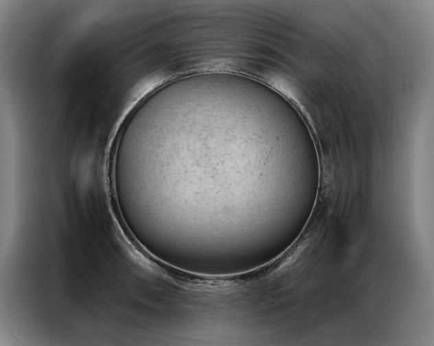 X0000087311090200704201206