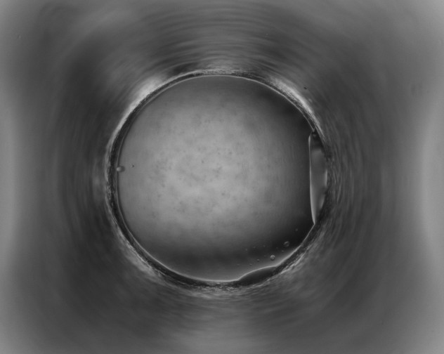 X0000087311091200704201206