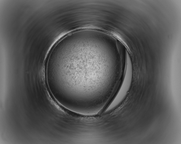 X0000087311092200704201206