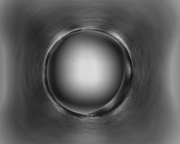 X0000087311093200704201206