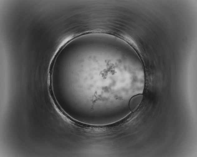 X0000087311095200704201206