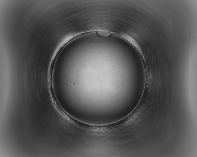 X0000087311096200704201206