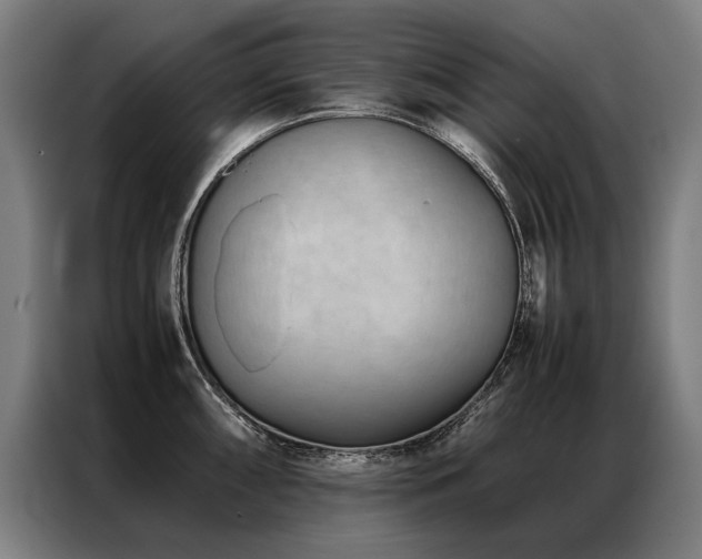 X0000087311098200704201206