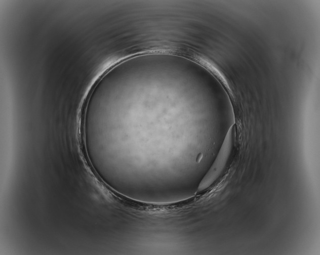 X0000087311099200704201206