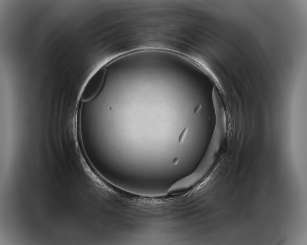 X0000087311100200704201206