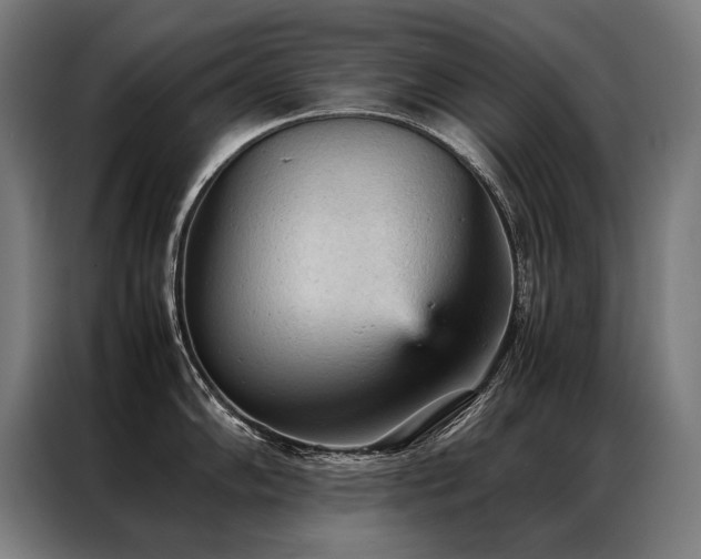 X0000087311102200704201206