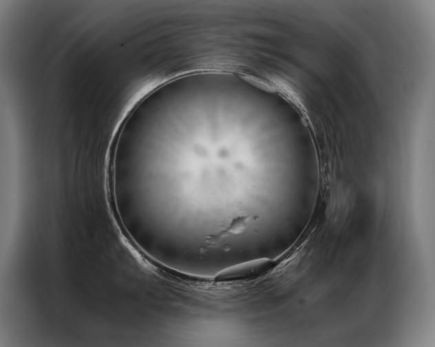 X0000087311103200704201206