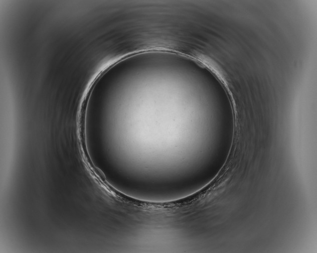 X0000087311104200704201206