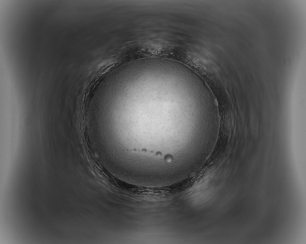 X0000087311105200704201205