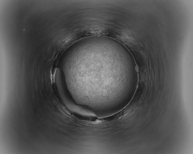 X0000087311106200704201205