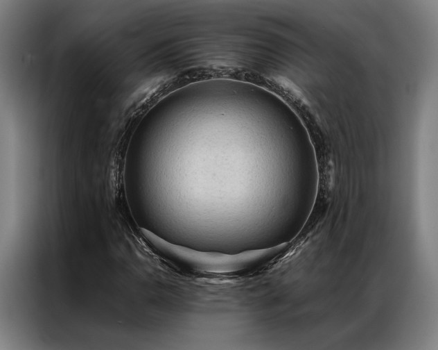 X0000087311110200704201205