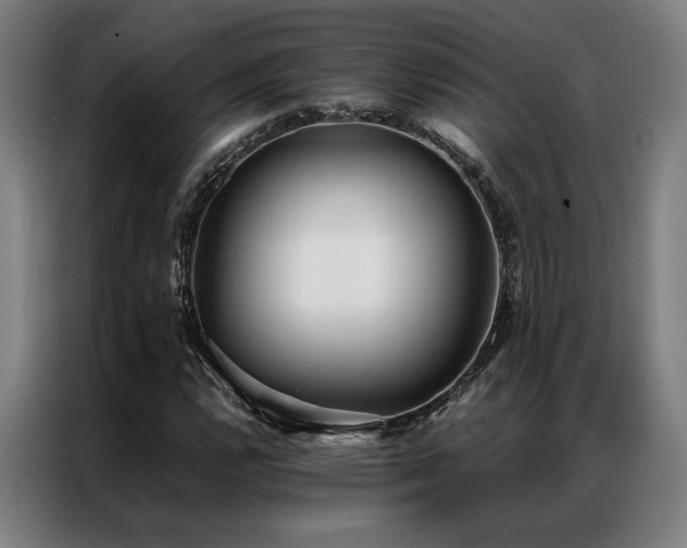 X0000087311112200704201205