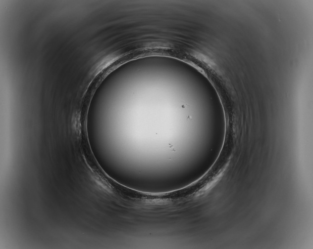X0000087311113200704201205