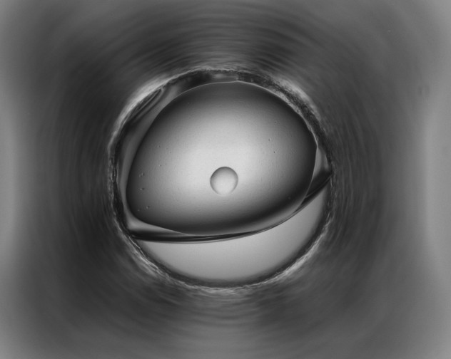 X0000087311114200704201205