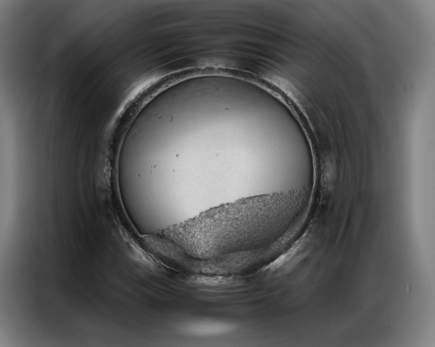 X0000087311115200704201205