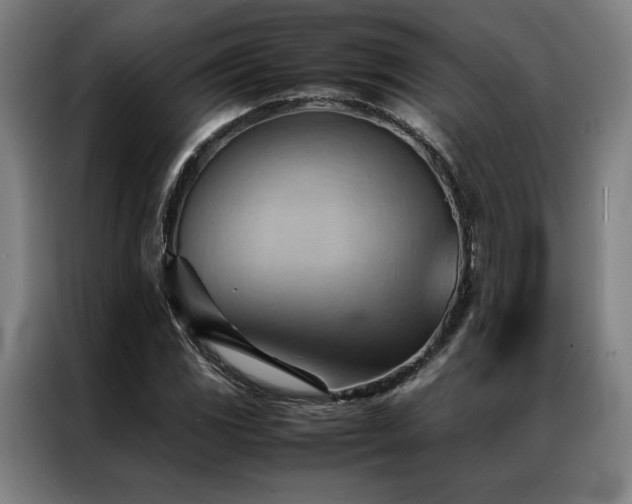 X0000087311117200704201205