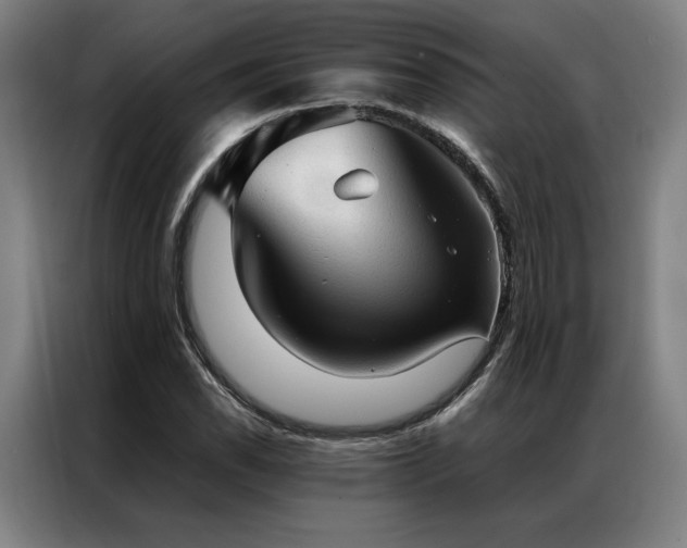 X0000087311118200704201205