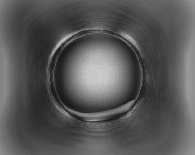X0000087311120200704201205