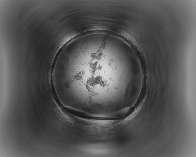 X0000087311121200704201205