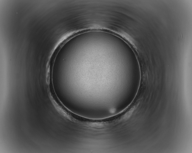 X0000087311126200704201205