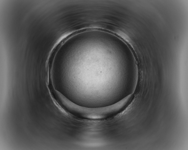 X0000087311127200704201205